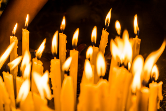 Allerzielen in de Sint-Catharijnekerk