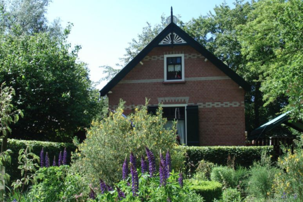 Meezingmiddag bij De Duinhuisjes