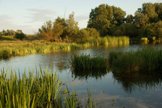 Lezing over de nieuw ontstane natuur op de landtong van Rozenburg